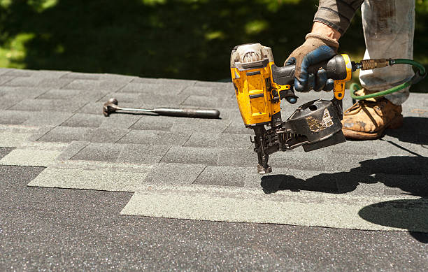 Best Roof Moss and Algae Removal  in Falls City, OR